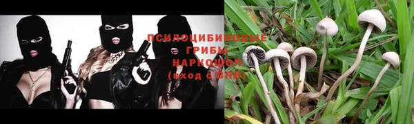 дмт Белоозёрский
